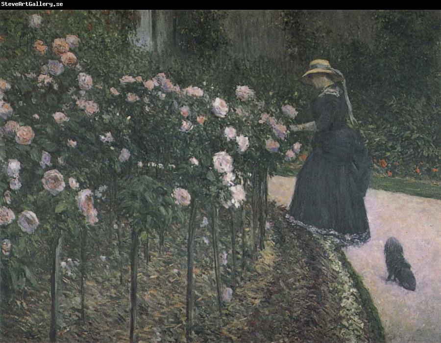 Gustave Caillebotte Some Rose in the garden